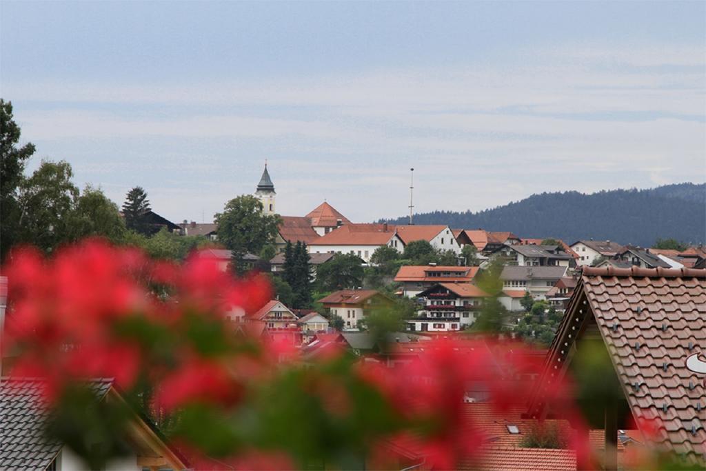 Pension Anderl Bodenmais Exteriér fotografie